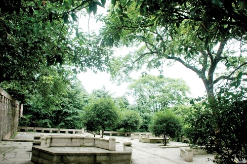 儀隴中學校園風采