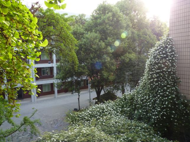 石室聯(lián)合中學(xué)蜀華分校怎么樣？