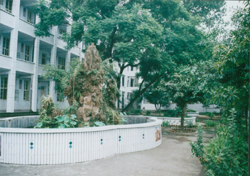 內(nèi)江十三中地址在哪？