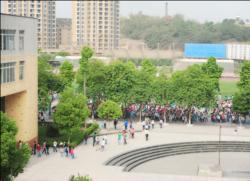 南溪區(qū)第一中學(xué)地理位置在哪？