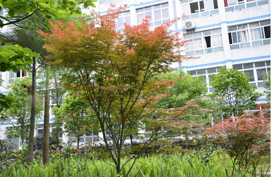 筠連縣中學教育改革