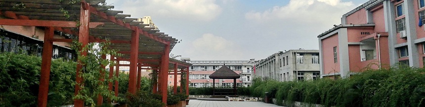 成都市通錦中學(xué)2019年中考分?jǐn)?shù)線是多少？