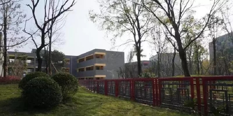 成都綿實外國語學校2020年升學率怎么樣？