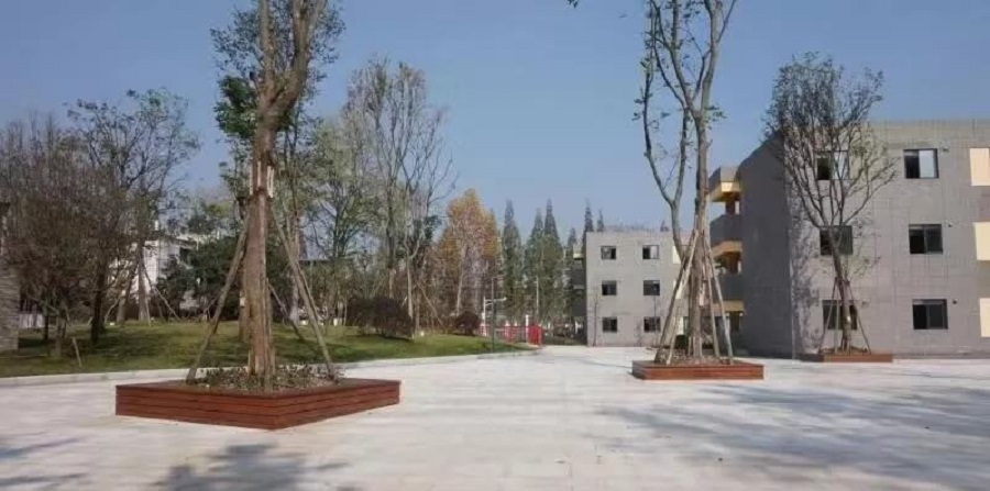 成都綿實外國語學校2019年招生公告公布了嗎？