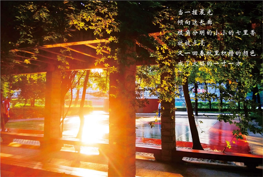 成都七中高新校區(qū)2019年中考分?jǐn)?shù)線是多少？