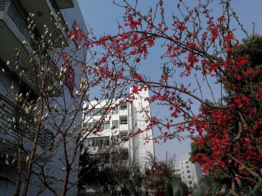 綿陽南山中學(xué)教學(xué)質(zhì)量怎么樣？