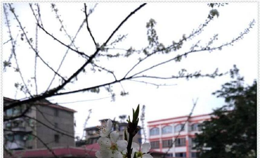 洪雅中學(xué)是一所公辦高中學(xué)嗎？