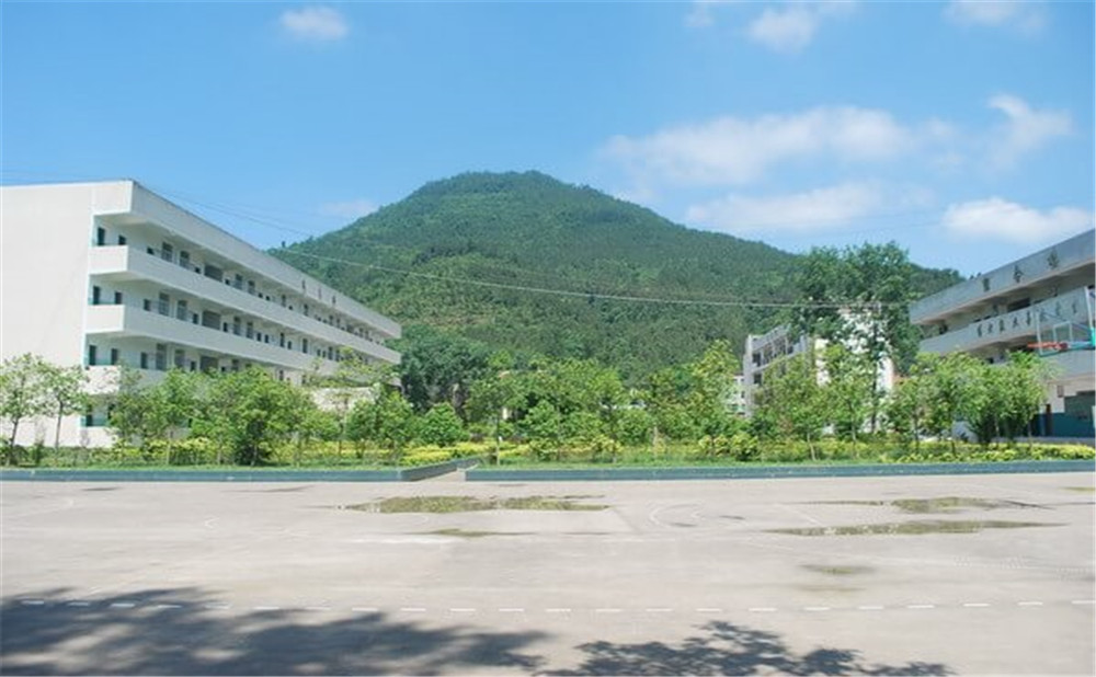金山中學(xué)學(xué)校環(huán)境如何？