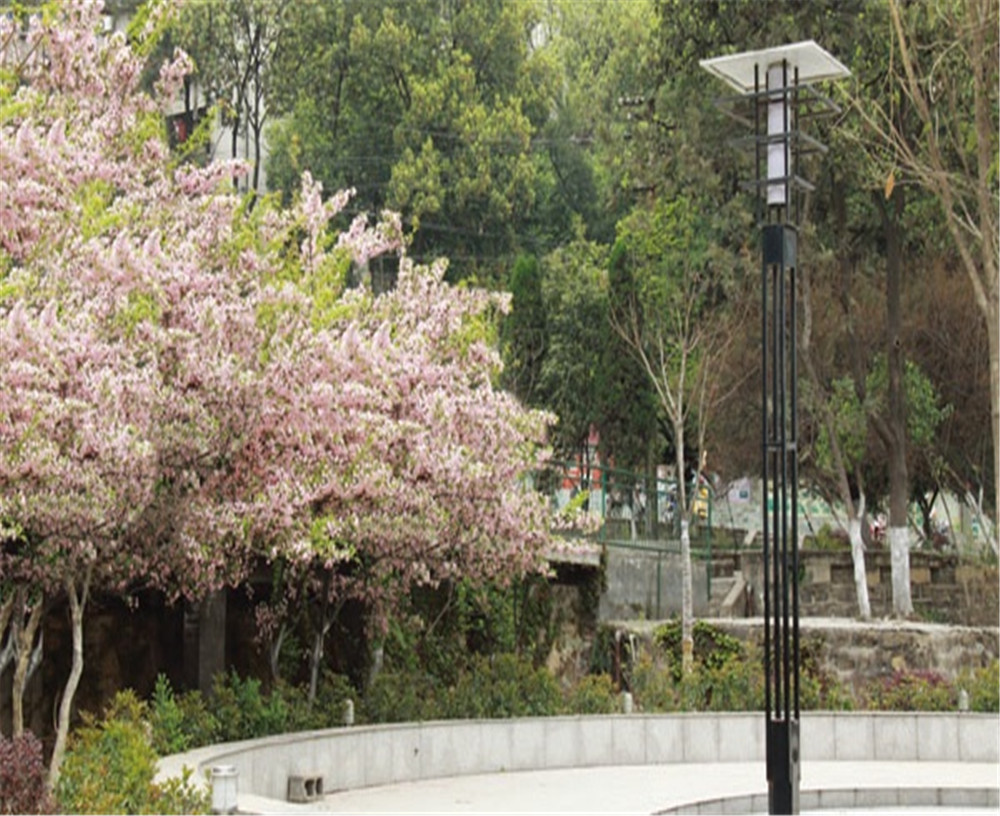 廣元實驗中學(xué)學(xué)校招辦電話是多少？