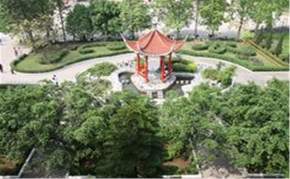 四川省瀘縣第九中學(xué)2020年招生計劃是多少？