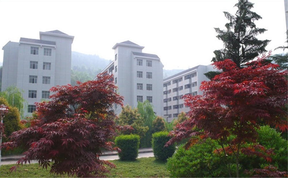 巴中中學(xué)學(xué)校詳細(xì)地址在什么地方？