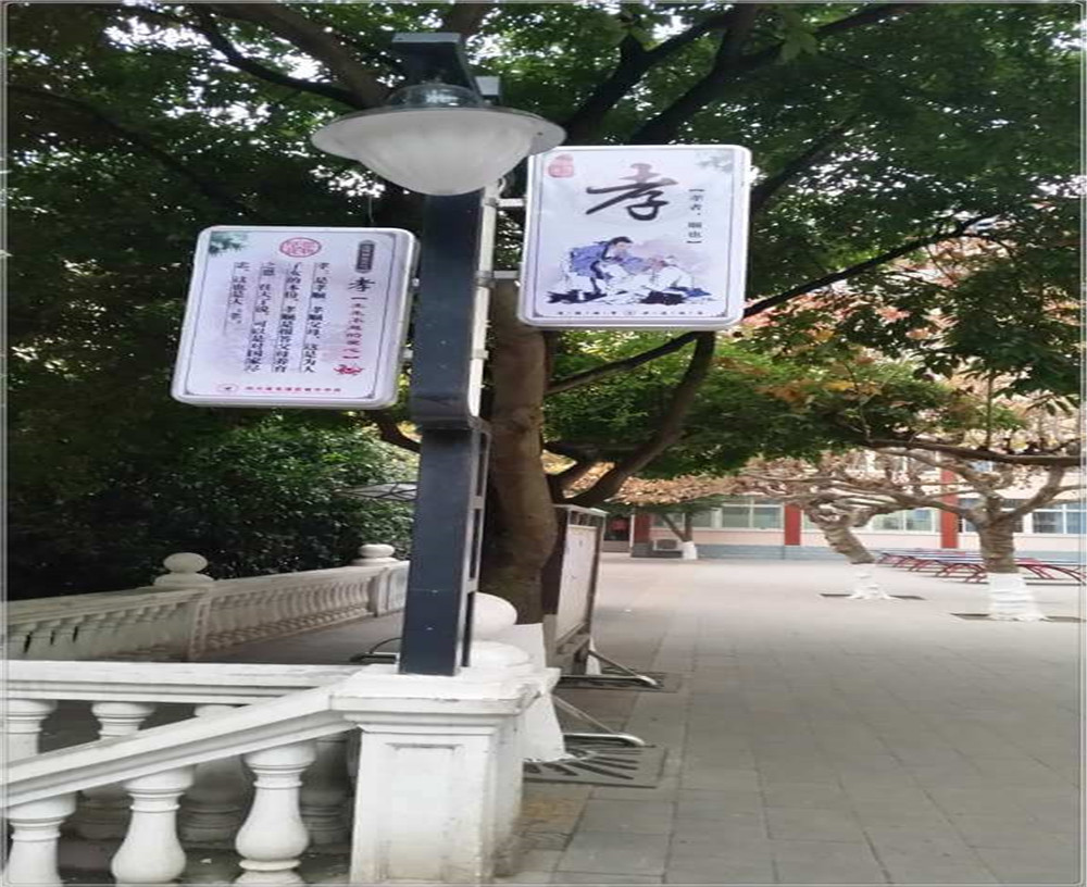 蒼溪實(shí)驗(yàn)中學(xué)2020年的招生簡(jiǎn)章發(fā)布了嗎？