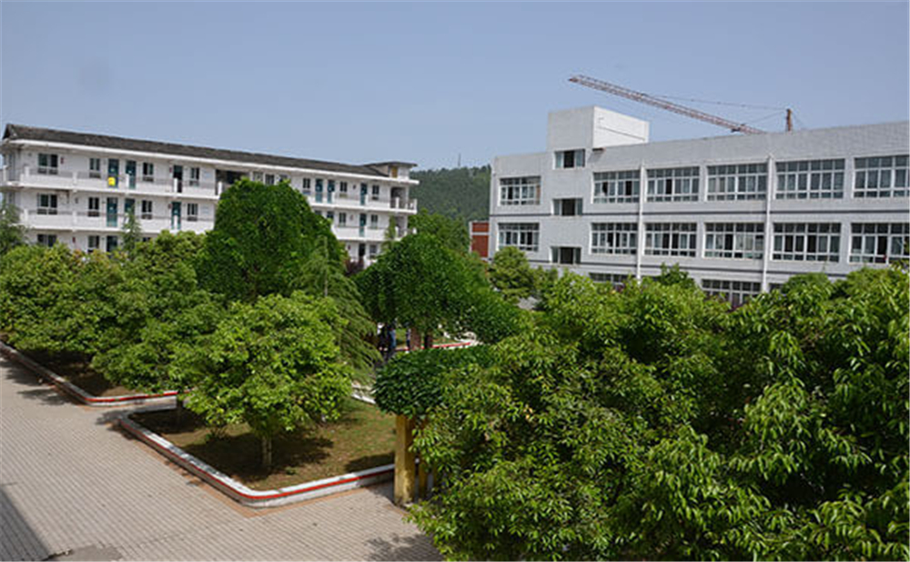 曾口中學2020年招生計劃公布了嗎？