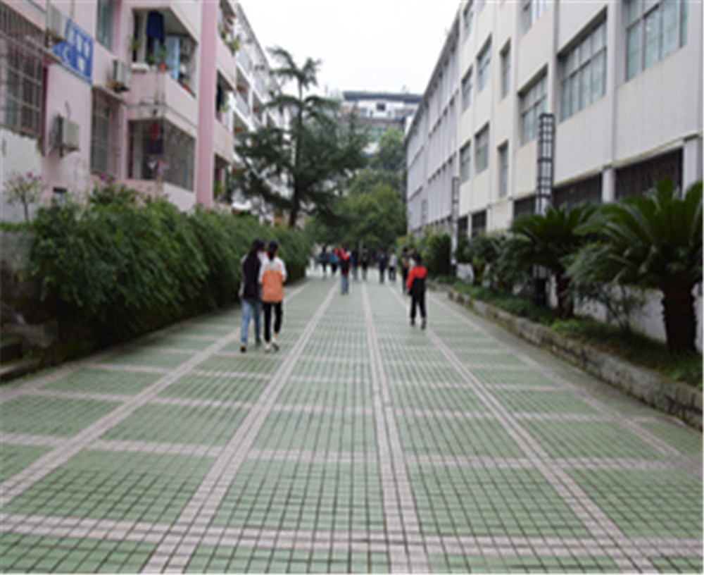 歧坪中學2020年的錄取分數(shù)是多少？