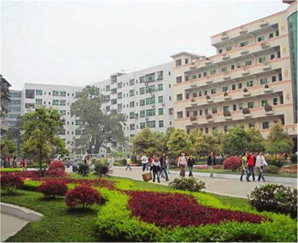 渠縣第二中學(xué)學(xué)校2020年的錄取分?jǐn)?shù)公布了嗎？