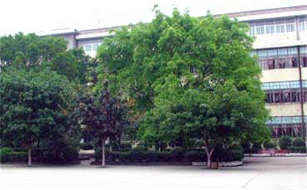 威遠縣自強中學學校環(huán)境怎么樣？