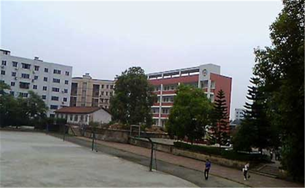 內(nèi)江十中2020年學(xué)校學(xué)費多少錢一年？
