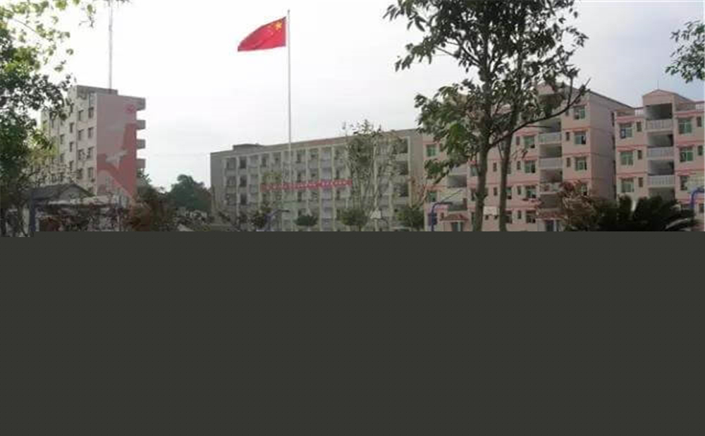 內(nèi)江市第十一中學(xué)學(xué)校環(huán)境怎么樣？