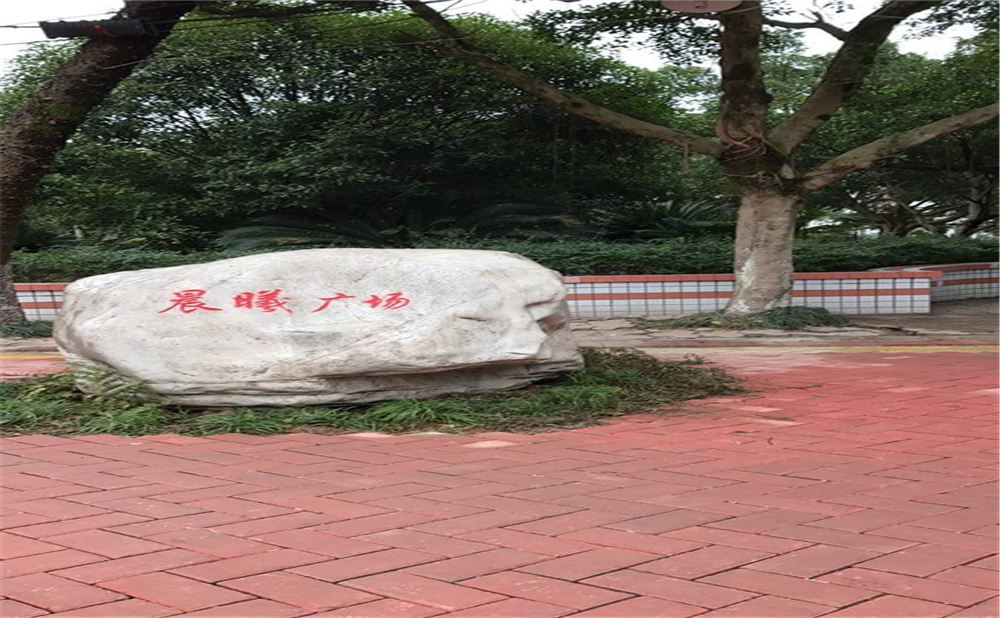 內(nèi)江十二中2020年中考錄取分?jǐn)?shù)線多少分？