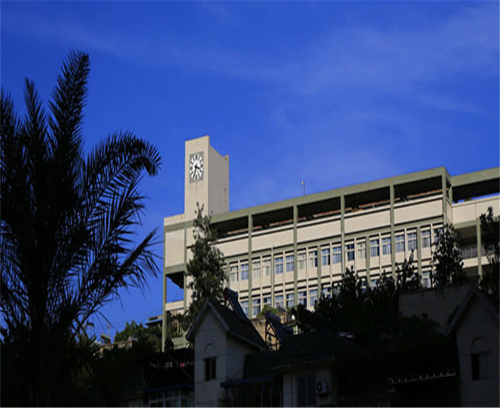 攀枝花市第十五中學(xué)學(xué)校詳細(xì)地址在什么地方？