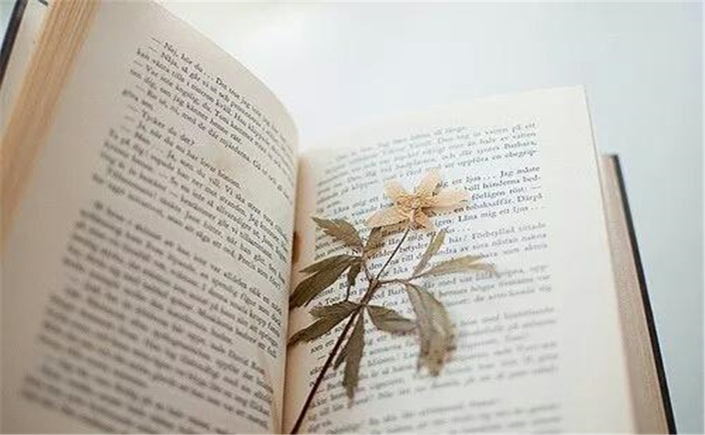 2020年中考滿分作文說(shuō)明文參考范文：感悟生命