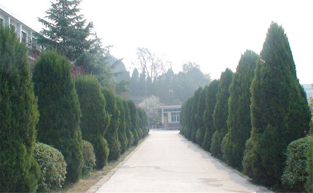 建興中學學校環(huán)境怎么樣？