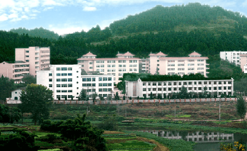 建興中學(xué)2020年學(xué)校學(xué)費多少錢一年？