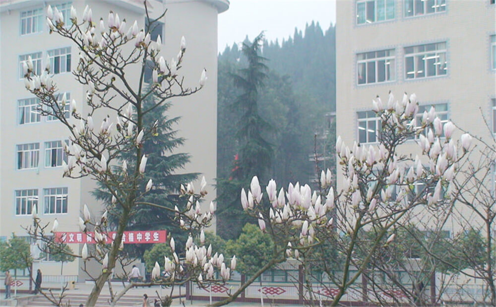 建興中學學校詳細地址在什么地方？