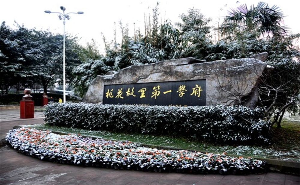 成都市龍泉中學(xué)的高考升學(xué)率是多少？