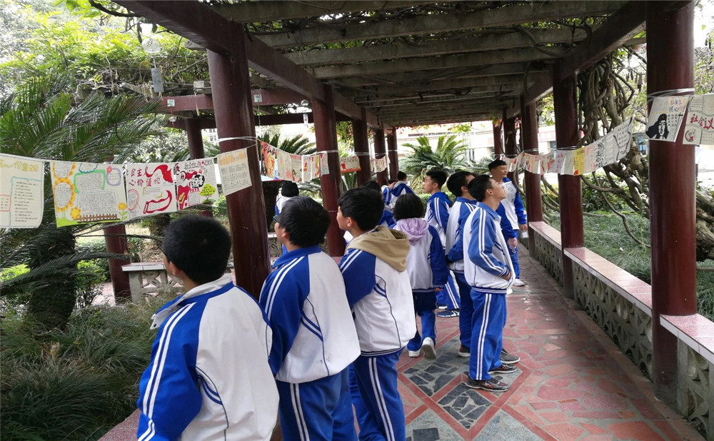棠湖中學(xué)錄取分數(shù)是多少？