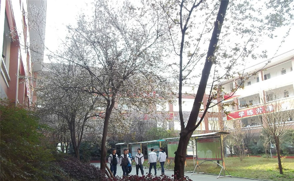 崇慶中學(xué)的去年錄取分?jǐn)?shù)線是多少分？