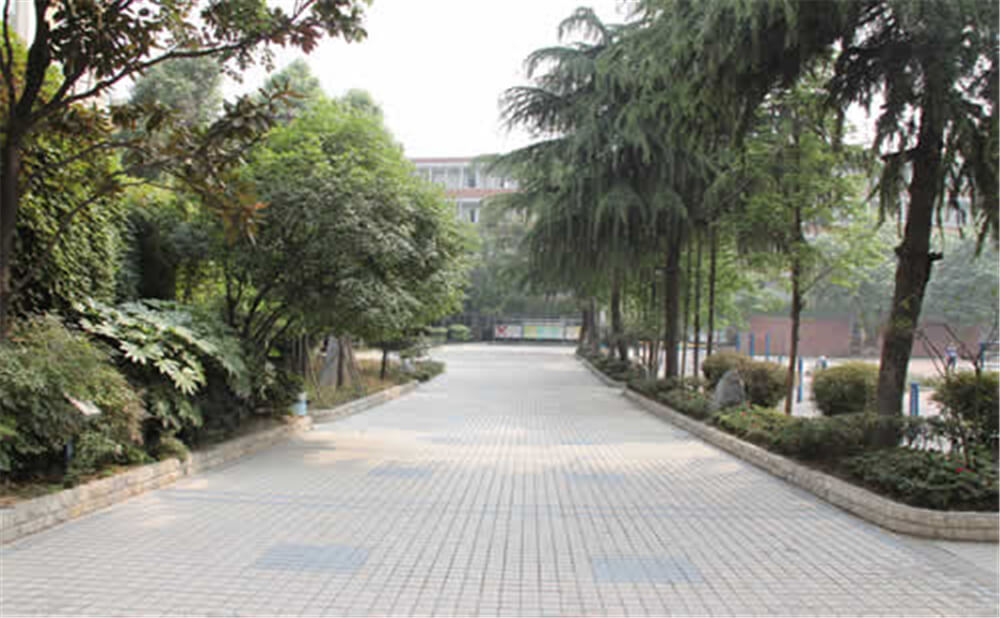 成都列五中學(xué)的學(xué)費是多少錢？