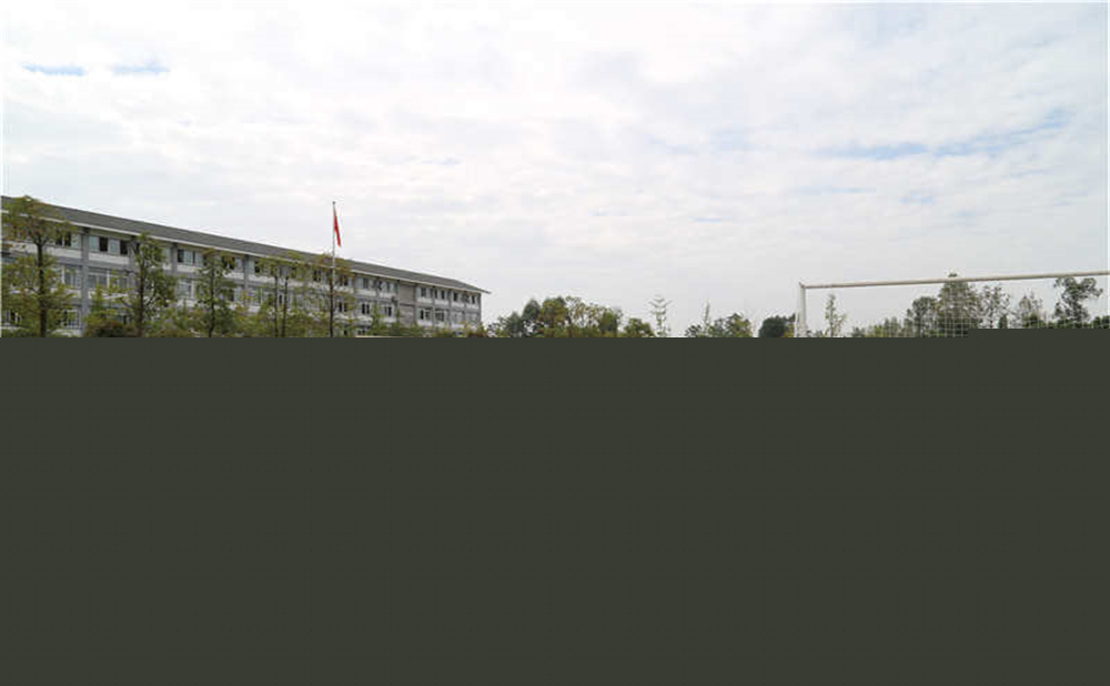 平樂中學(xué)的升學(xué)率是多少？