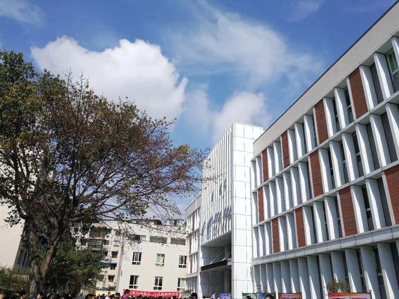 成都二十中高中一年的學(xué)費是多少？