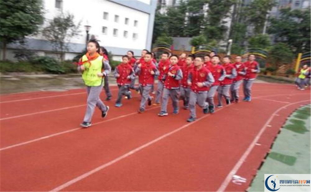 2020成都市泡桐樹中學(xué)的升學(xué)率有多少？