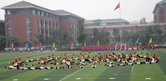 2020年成都七中高新校區(qū)的升學率有多少？