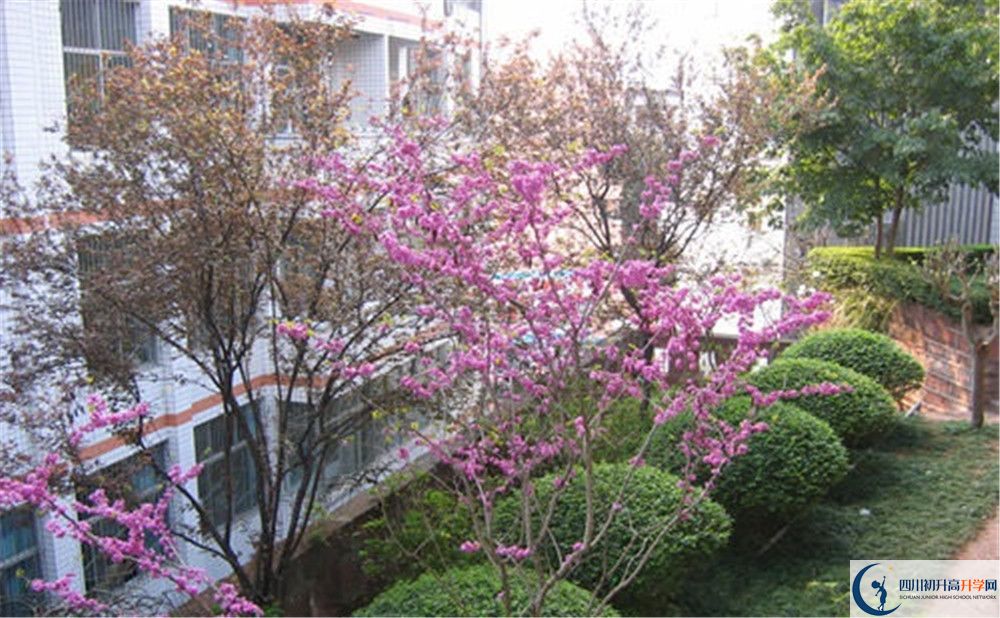 三星中學(xué)初升高的分數(shù)線是多少？