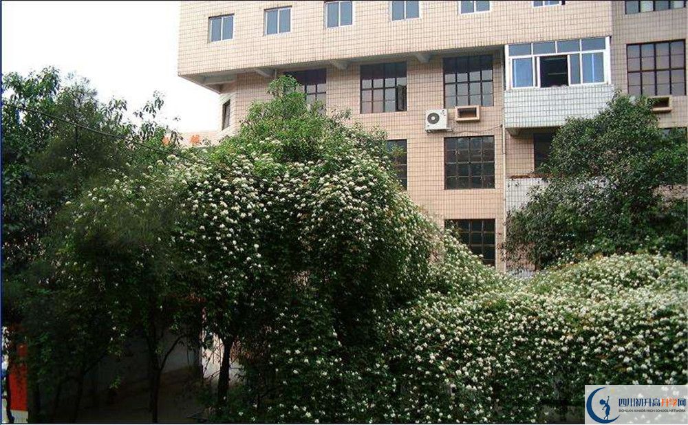 石室聯(lián)合中學蜀華分校一學期的學費是多少？
