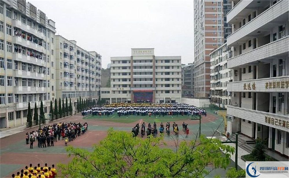 陽安中學(xué)的老師好不好？
