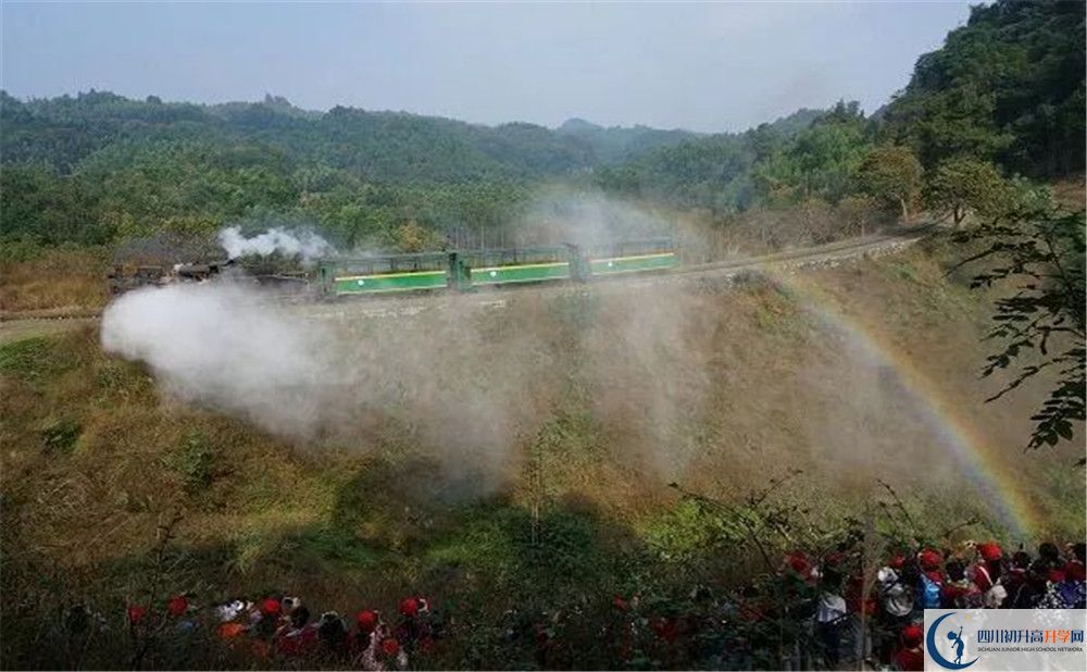考成都市泡桐樹中學分數(shù)線是多少？