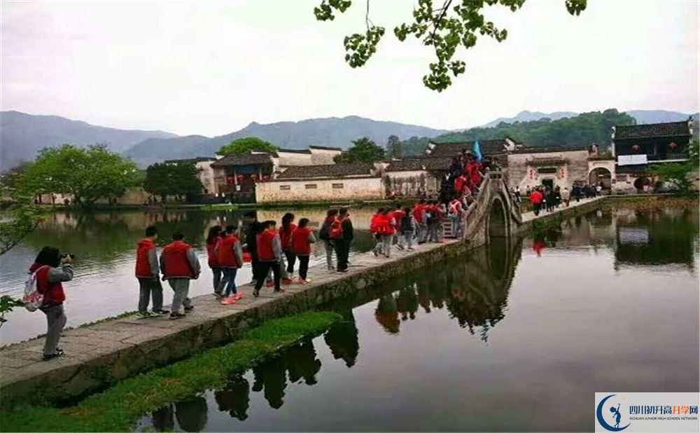 成都市泡桐樹中學(xué)的學(xué)費(fèi)一期是多少？