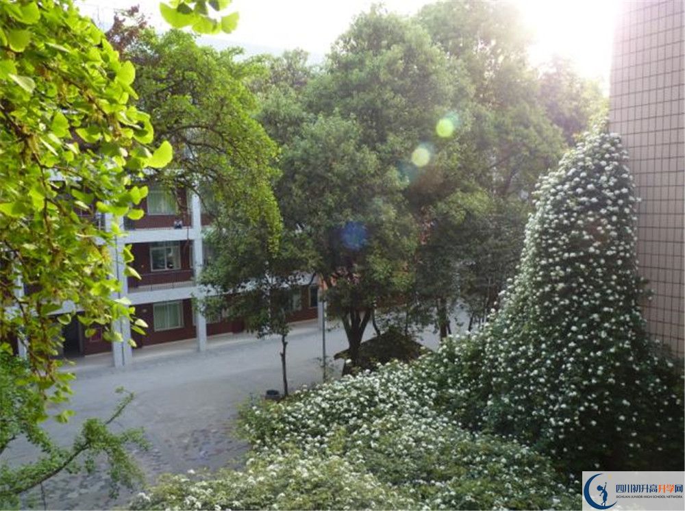成都市石室聯(lián)中蜀華分校初升高的政策是什么？