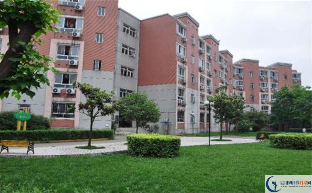 樹(shù)德博瑞實(shí)驗(yàn)學(xué)校2020年錄取條件是什么？