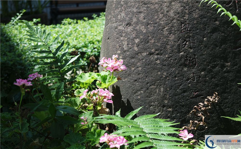 石室聯(lián)合中學(xué)蜀華分校住宿費(fèi)用是多少？
