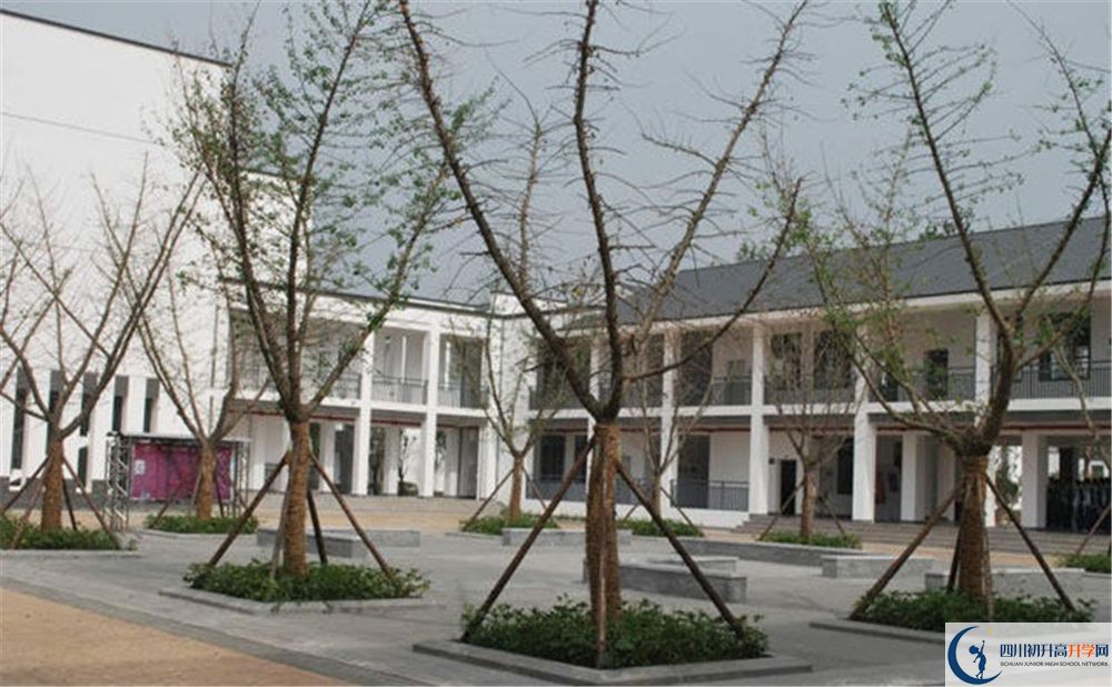 石室白馬中學(xué)2020年錄取條件是什么？