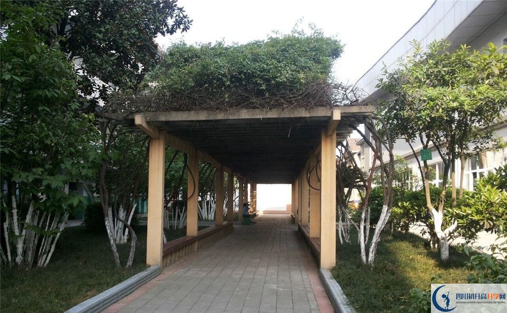通錦中學(xué)2020年清華北大錄取學(xué)生有多少？