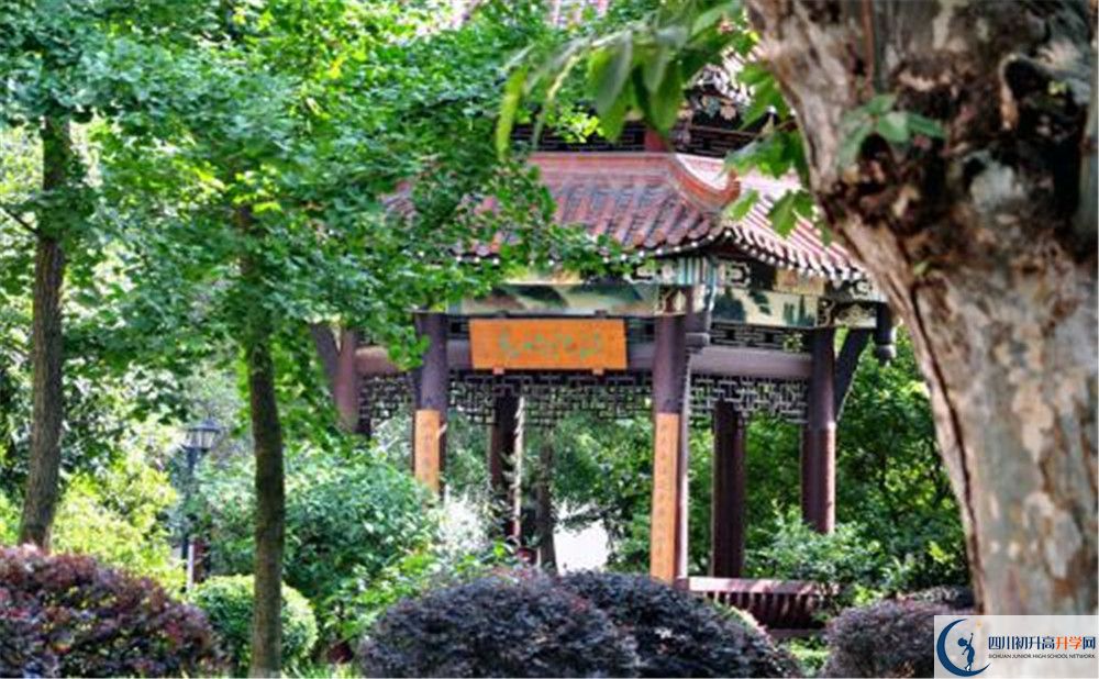 中和中學(xué)的地址怎么走？