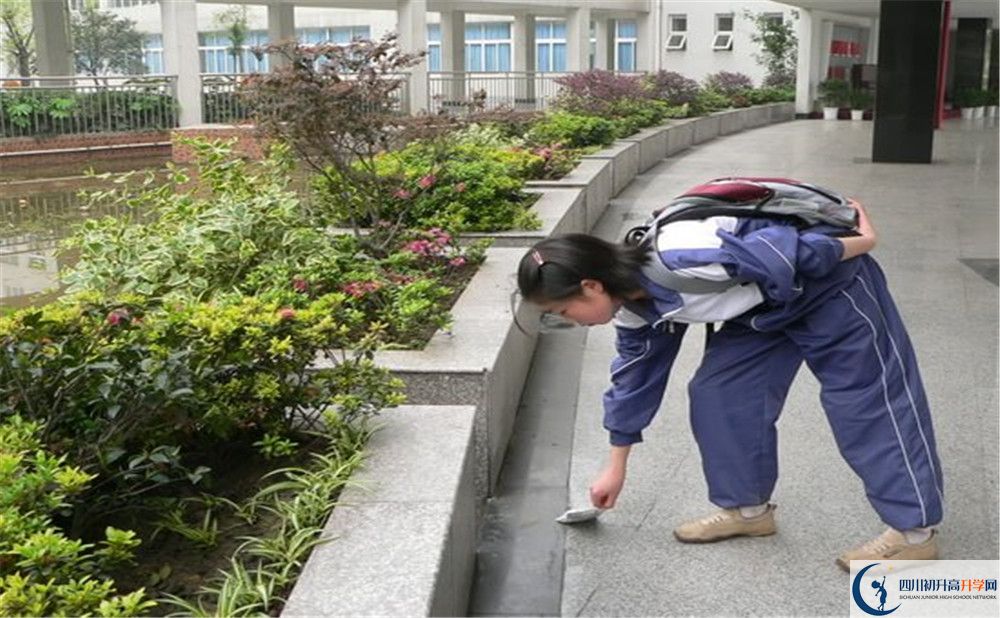 成都市龍泉中學(xué)初升高向外地招生嗎？