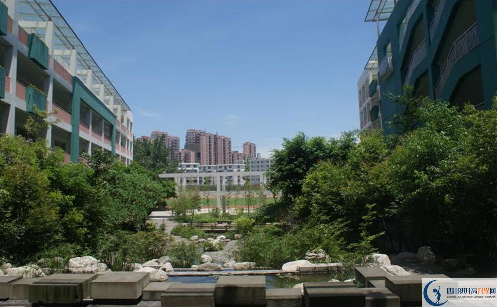 四川師范大學(xué)實(shí)驗(yàn)外國語學(xué)校2020年保送清華北大的人數(shù)？