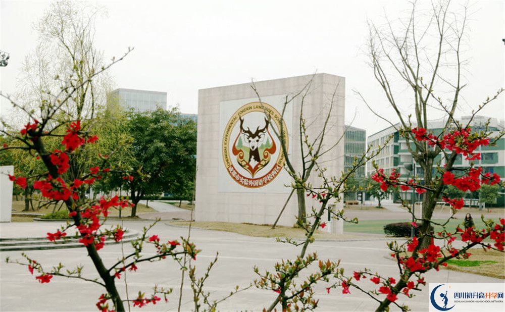 成都實(shí)驗(yàn)外國(guó)語(yǔ)學(xué)校（西區(qū)）的高中住宿怎么樣？